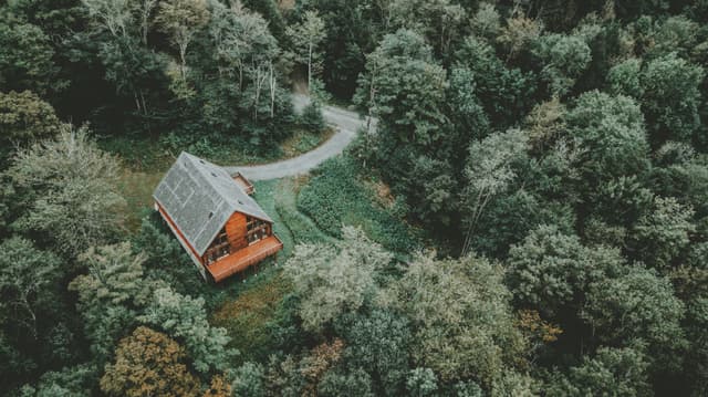 Forest Cabin